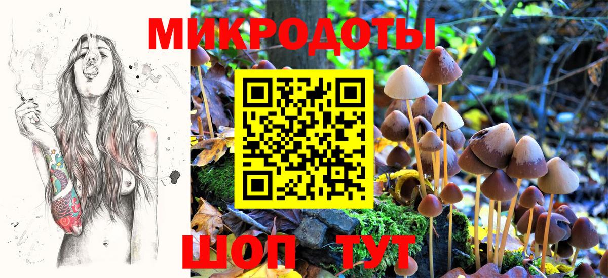 Галлюциногенные грибы Psilocybe  Вход с VPN  Отрадный 